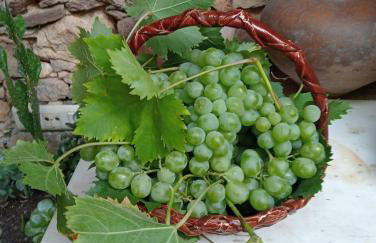 Casa Rural Santa Teresinha - Foto 6