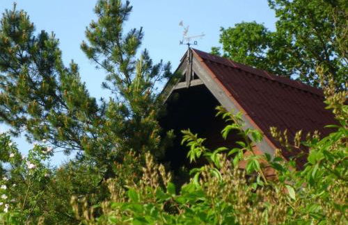 Holiday home in Süttorf with swimming pool - Foto 4