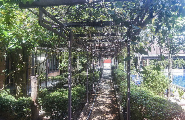 Green Empire Resort - Photo 65