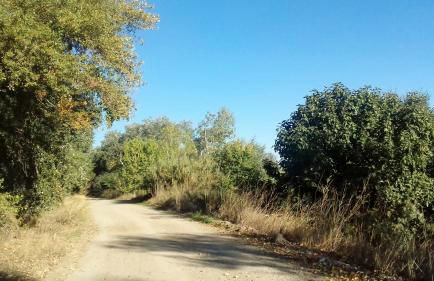 Hospital del Temple Casa Rural - Foto 41