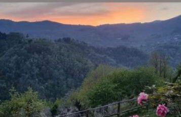 All ' ombra del lauro - Foto 14