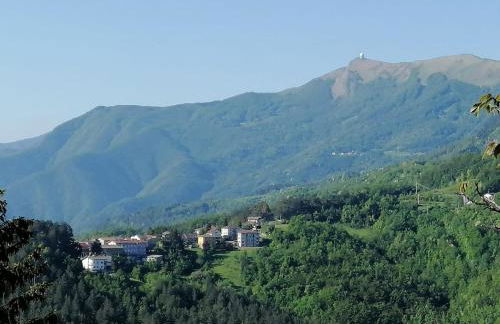 Sunny House -Charming apartment in the nature - Foto 28