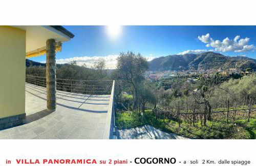 Villa tra gli ulivi - bellissima vista panoramica - Foto 9