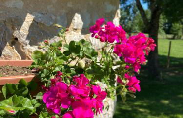 La petite maison dans le Quercy - Foto 16