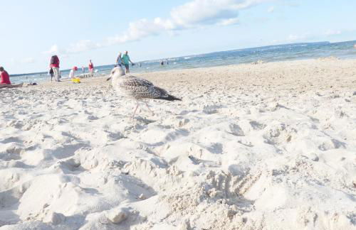 Fewo Rügen Böttger - Foto 26