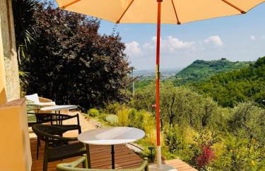 Renovated Tuscan Home overlooking Vineyards - Photo 11