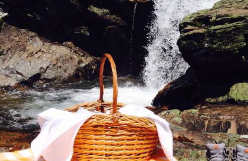 Quinta das Lindas 2 - Foto 76