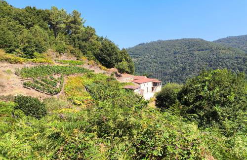 Xiravai-Ribeira Sacra - Foto 22