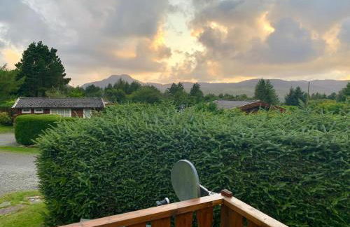 Caban Marjie - Foto 7