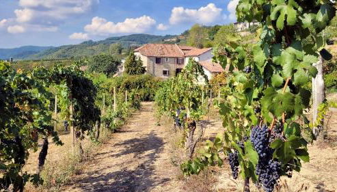 Appartamento Moscato in Cascina Marenco Langhe Country House - Foto 3