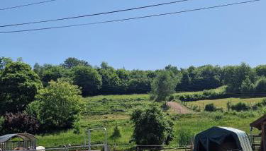 Chevaux au Soleil - Foto 2