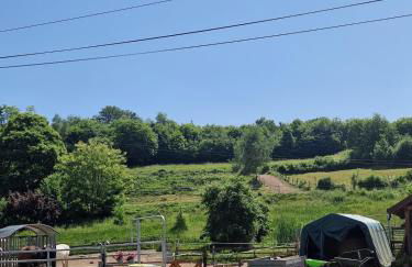 Chevaux au Soleil - Foto 2