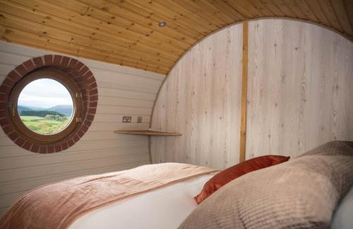 Foxes View - Foto 18