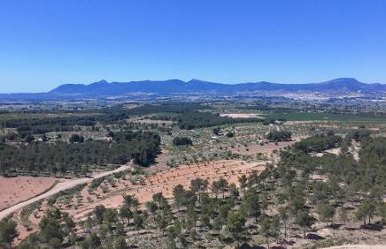 Casa Rural Completa en Alicante 6 Habitaciones con Piscina, BBQ, Vistas Naturaleza Ideal Grupos - Photo 37