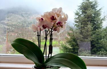 eleni's villa - Photo 23