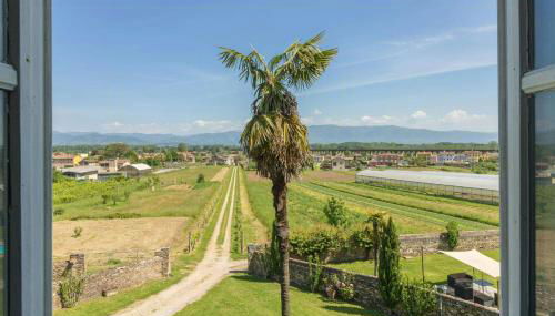 Sara Spacious Private Pool Apartment Near Lucca - Foto 4