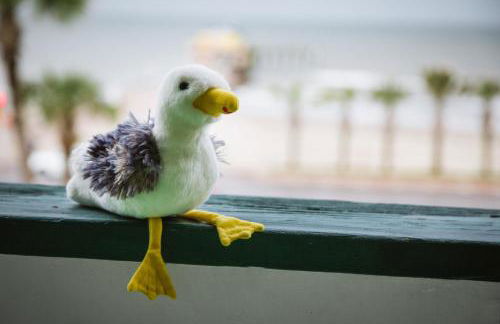 CDM 303 - Sandy Seashore Solace - Foto 16