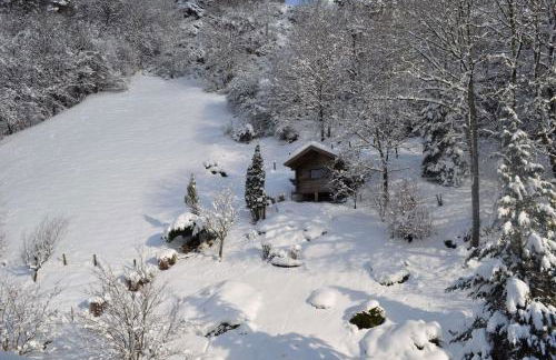 Hôtel et appart'hôtel de l'Hermitage - Foto 25