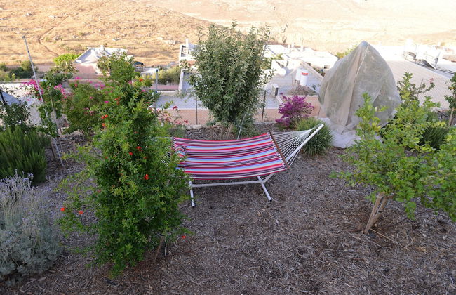 Villa Herodion - Foto 15