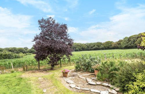 Trehellas House Hotel & Courthouse restaurant - Foto 18