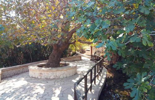 Dimitra Apartments Zakros Village - Photo 33