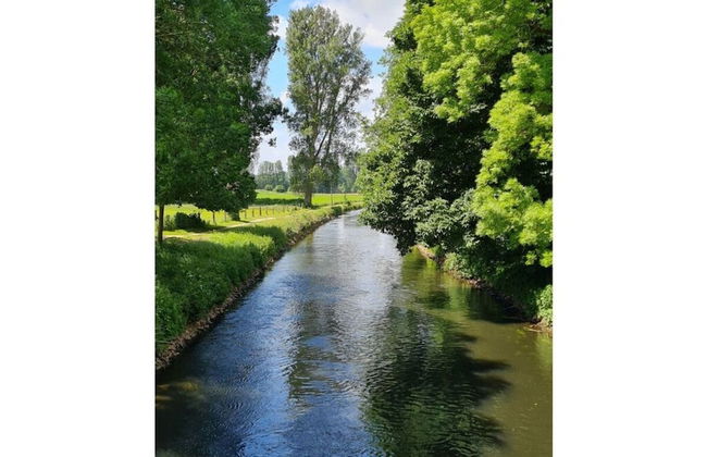 Sunshine Comfortable Holiday Residence - Photo 5