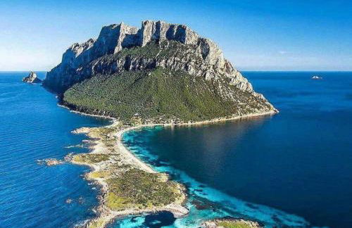 Appartamento delle Rose - Foto 21