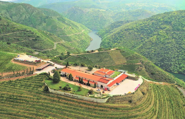 Visita alla cantina Regina Viarum - Foto 7