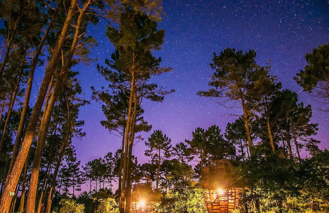 Cap'Cabane - Foto 15