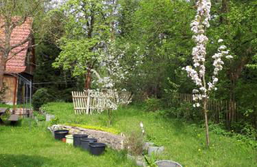 Kräuter-Heidi Garten - Foto 6