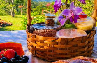 Casa de campos são Francisco Xavier Xavier - Foto 1