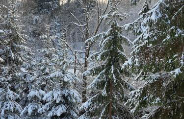 Juraszówka - Foto 45