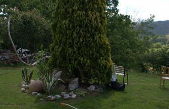 Aptos rurales Mirador Picos de Europa - Foto 38