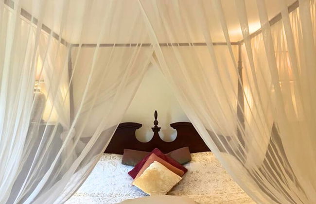 Scardroy Alford - Photo 5