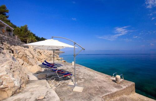 Robinson Merlot - Foto 18