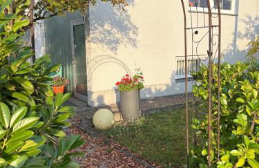 Schöne 2-Zi-Whg Küche Bad Terrasse Parken - Foto 19