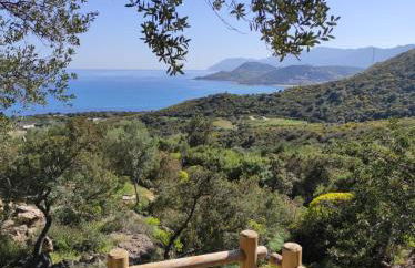 villa Dammar - Foto 30