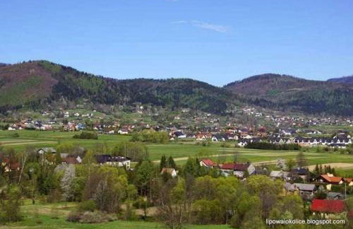 Lipowa Nest - Foto 27