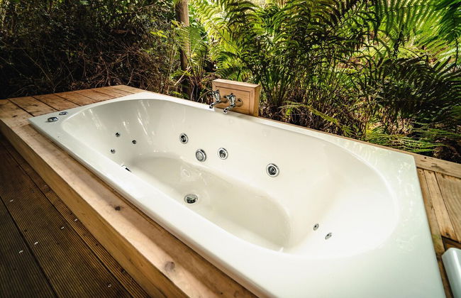 Franz Josef Treetops - Foto 23