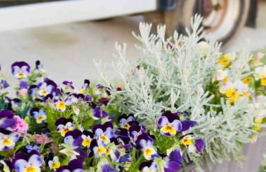 The Stables & Silos - Foto 71