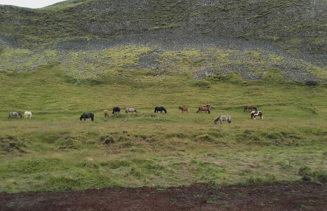 Au44 cottages - Arngrimslundur - Foto 67