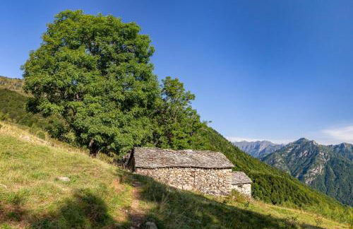 Rifugio Camparient - Foto 50