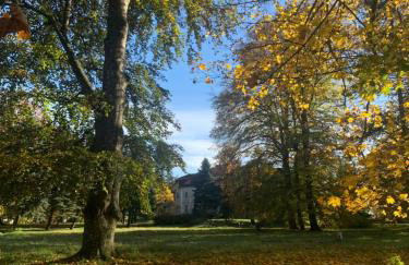 Pałac Sapetów - Foto 23