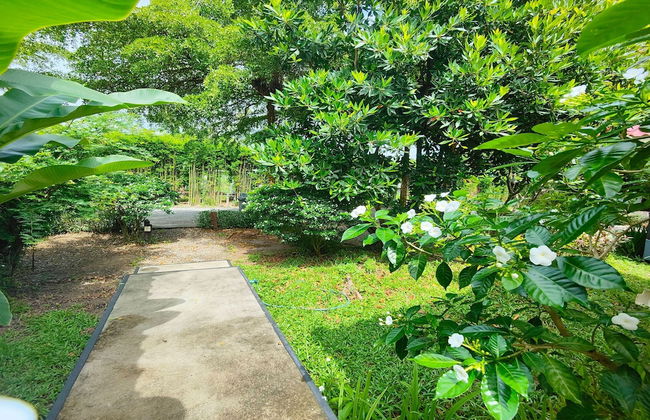 The Creek Resort - Foto 37