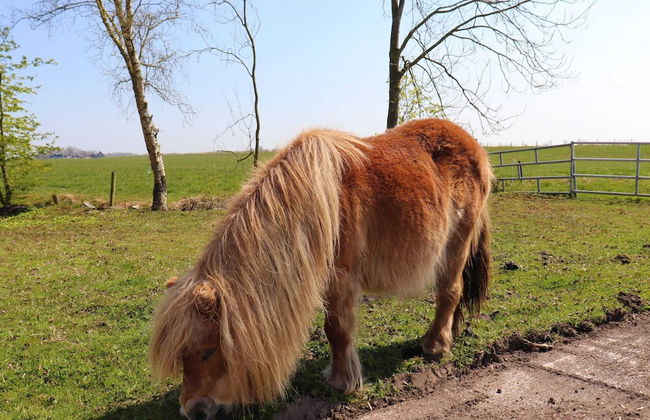 Idyllic Farmhouse Retreat in Suwald - Foto 38