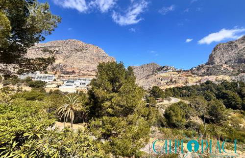 Vistalmar - Photo 67