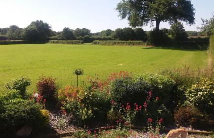 La Closerie de la Trottinière - Foto 20