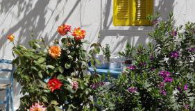 Artist Rooms - Triantafyllou Birth House - Foto 2, Garden