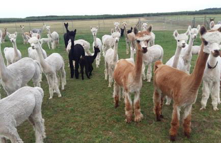 FeWo mit Balkon, Zimmermann - Foto 35