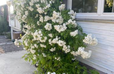 Bei uns im Allgäu - Ferienwohnungen für Erholung und Aktivität - Foto 76